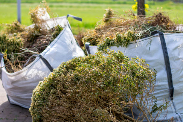 Best Property Management Cleanouts  in Bay City, TX